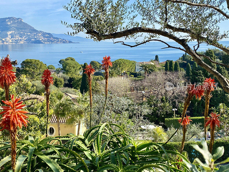 法国- Côte d 'Azur -从saint - jean - cape - ferrat俯瞰Baie Des Fourmis (Beaulieu-Sur-Mer)